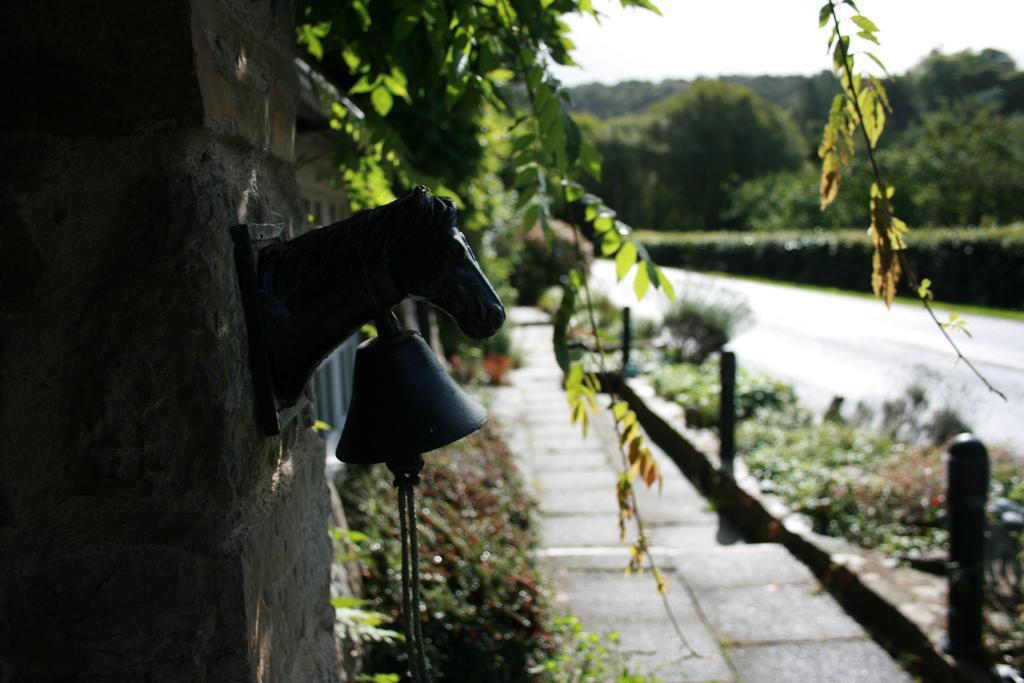 The Bark House Hotel Tiverton  Exterior foto