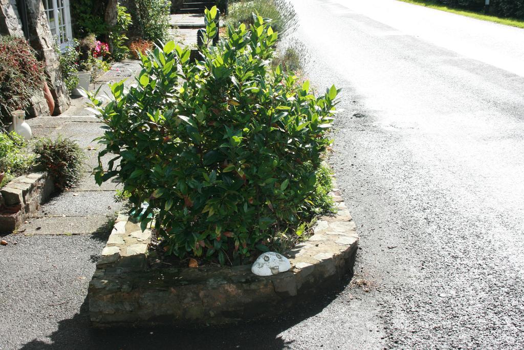The Bark House Hotel Tiverton  Exterior foto