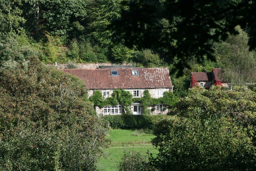 The Bark House Hotel Tiverton  Exterior foto